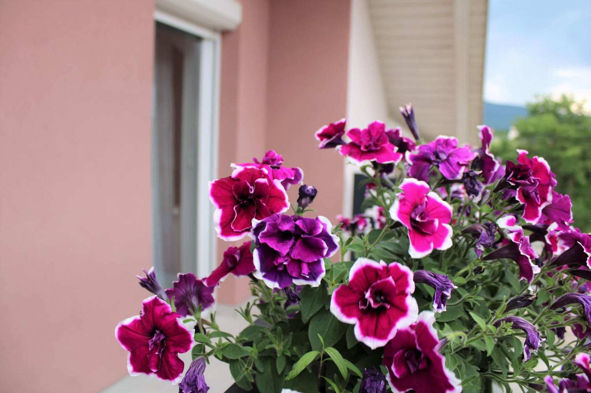 Apartman Swans Оточац Экстерьер фото
